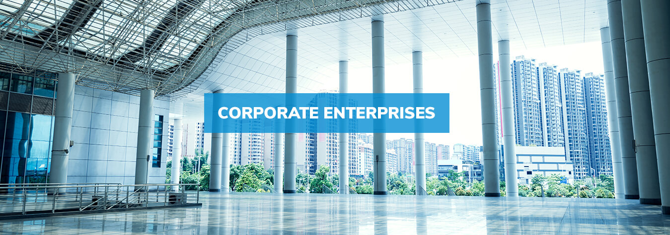 Corporates And Enterprises solution